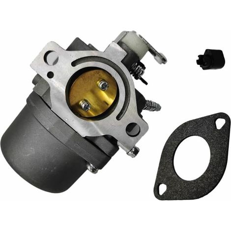 Remplacement du carburateur Carburateur de tondeuse à gazon, pour moteurs Briggs Stratton 285707 289707 28B705 28M707, remplace 494392 494502 495706 799728 Carburateur de tondeuse à gazon (1/5)