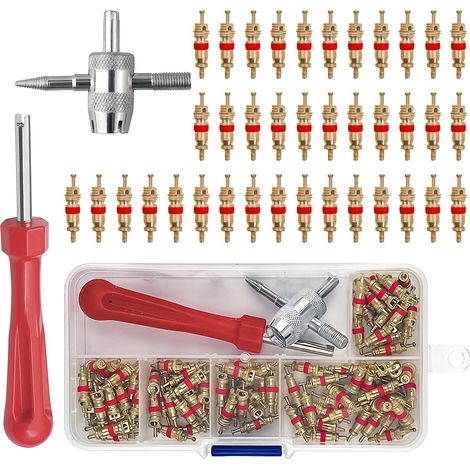 Valve Core Extractors with 100 Pieces Valve Core (1/5)