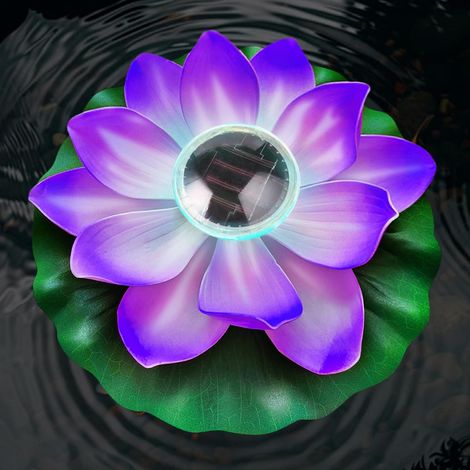 Lampe solaire lotus pour piscine, LED étanche, lampe flottante moderne pour jardin, 12 cm, allumage/extinction automatique, pour bassin, fontaine ou décoration de jardin (violet) (1/5)