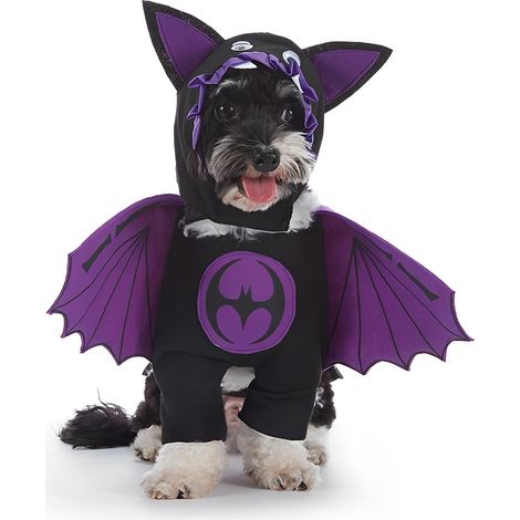 Déguisement d'Halloween en coton citrouille, vêtements de cosplay chauve-souris pour animaux de compagnie, t-shirt pour petits chiens, tenues mignonnes pour chiens, pulls d'automne pour chiens/// (1/5)