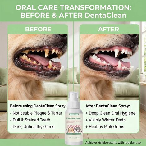 KineShineX Pet Dental Spray, Beef Flavor, No Brush Required, Breath Freshener for Dogs, Pet Oral Care (1/5)