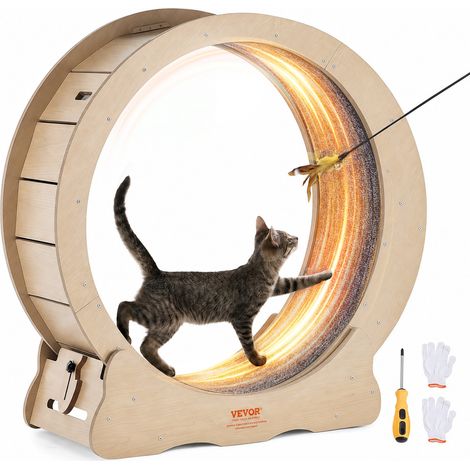 Roue d'Exercice pour Chat 750 mm Grande Roue de Course pour Chat d'Intérieur, avec Tapis Roulant Amovible, Teaser pour Chat pour Courir, Marcher, Entraînement, Convient à la Plupart des Chats (1/5)