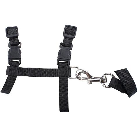 1 Harnais pour chat,sangle en nylon réglable,boucle de sécurité,style H,pour chaton et petit chien (1/5)