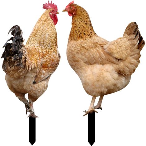 Gartendekoration mit Realistischem Huhn Motiv aus Acryl 2