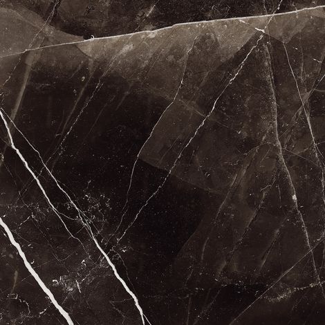 Carrelage Effet Marbre MARBLE CALEGARI Calacatta Black 120x120cm Mat Sol et Murs (1/5)