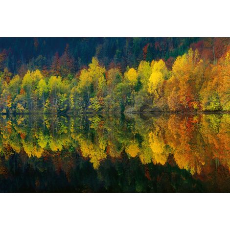 Papier peint panoramique automne pour salon | Tapisserie panoramique nature orange, jaune et verte | Papier peint panoramique paysage lac et forêt - 384 X 260 cm (8 pièces) (1/2)