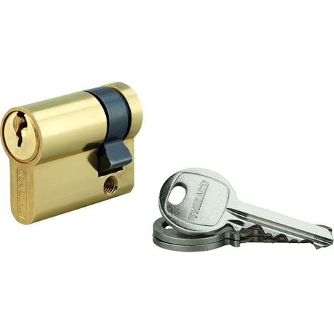 Demi-cylindre SA 30x10mm -