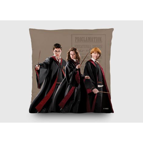 Coussin - Harry Potter avec Hermione et Ron - 40x40 cm (1/5)