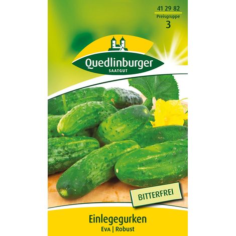 Quedlinburger Saatgut – Cornichon Eva – Graines de légumes, variété fixe pour culture en plein air, pour env. 40 plants (1/2)
