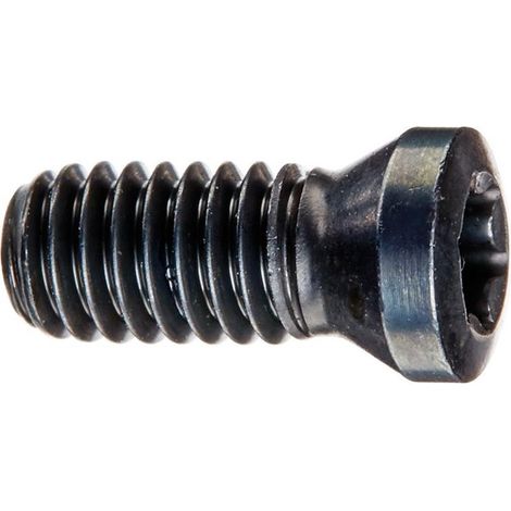 Vis de serrage pour insert M5x11 T20