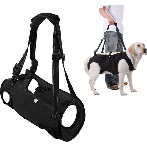 Guinzaglio per cani XL Ausilio per passeggiate Pettorina per cani Pettorina di supporto Pettorina per animali domestici Cinghia di supporto Pettorina imbottita per animali domestici Regolabile Per anz (1/5)