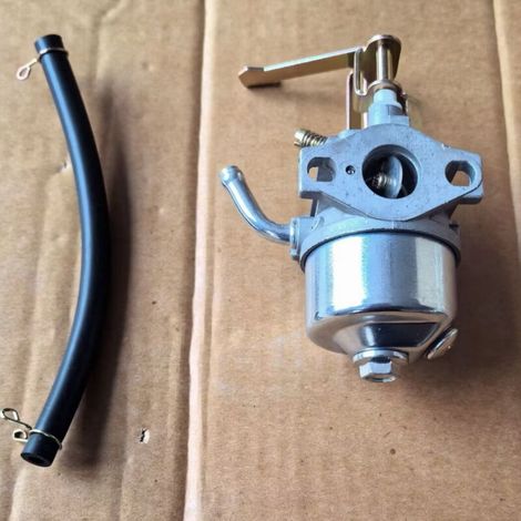 Carburateur 154F (154F/152F) : Type à chambre à flotteur, alimentation en carburant stable, convient aux moteurs 154F et 152F.