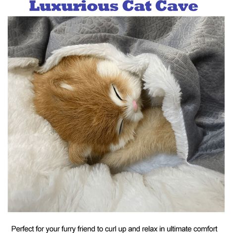 Eosnow Lit apaisant pour petit chien et grotte pour chat avec housse à capuche en peluche moelleuse pour animaux de compagnie ronds d'intérieur de taille moyenne et grande