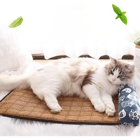 Générique Tapis Rafraîchissant pour Chien et Chat,Non Toxique en Rotin Naturel Tapis Rafraichissant Chien Chat,Lavable,Antidérapant,Tapis Rafraîchissant pour Animaux de Compagnie,2838cm