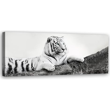 Tableau sur toile Tigre Afrique Animaux 90x30 (1/5)