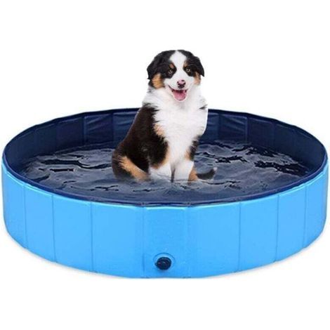 Piscine pliable pour chiens et enfants . portable . antidérapante . en PVC . pour chiens et chats . 80 x 20 cm (1/4)