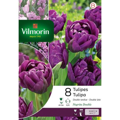 Vilmorin Tulipe Negrita Double (x8) (1/3)