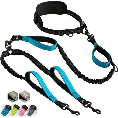 Freihändige Leine für 2 große und mittelgroße Hunde – Anti-Zug-Leine mit reflektierenden Nähten – Hundeaccessoire zum Joggen, Spazierengehen, Wandern und Klettern (1/5)