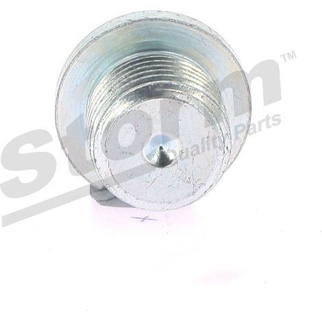 Bouchon de vidange carter 16x150 compatible Aro, BMW, Chrysler (1/5)