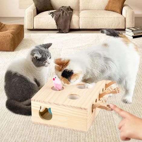 Interaktives Katzenspielzeug aus Holz – Maulwurf, Maus und 5-Loch-Puzzlebox-Design für Indoor-Spiele, Jagd und Bewegung (1/3)
