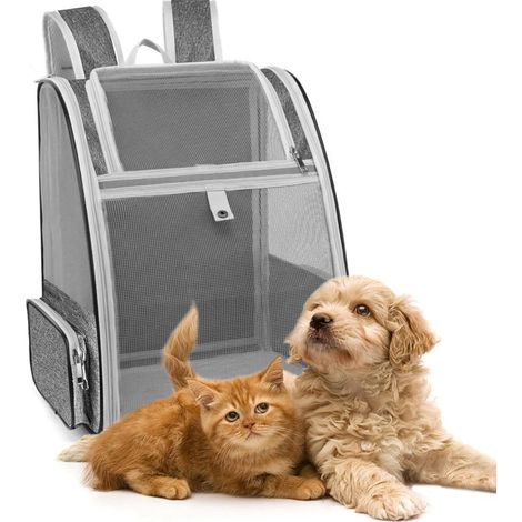 Sac à Dos Chat Respirant, Sac Chien Transport 40x32x28 cm, Sacs à Dos pour Animaux de Compagnie Pliable, Sacs Voyage Chien Charge de 5Kg, avec Tapis, pour Extérieur Randonnée Chihuahua, Gris (1/5)