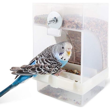 Mangeoire suspendue pour oiseaux sauvages, mélange de graines de jardin, graines de tournesol, cacahuètes. Attire les accenteurs mouchets et les merles d'Amérique. (1/5)