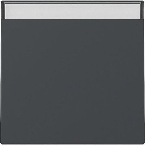 Gira WIPPE BSF SYSTEM 55 ANTHRAZIT (329928 SYSTEM 55)