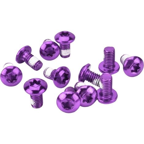 Packung mit 12 Torx-Schrauben T25 M5x10 mm aus Edelstahl für Bremsscheiben von Rennrädern und Mountainbikes. Fahrradzubehör. (1/5)