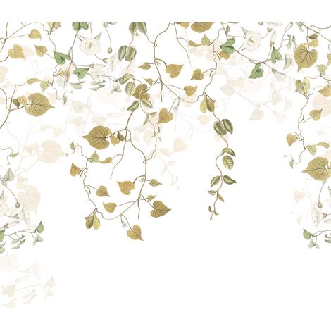Papier peint panoramique naturel Hedera (1/4)