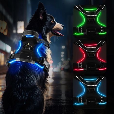 Harnais Chien Lumineux, LED Harnais Chien Anti Traction Réglable pour Petit Moyen Grand Chien, Réfléchissant éclairage Harnais avec 2 Anneaux et Poignée Contrôle, Facile à Mettre(Noir-Blue,M) (1/5)
