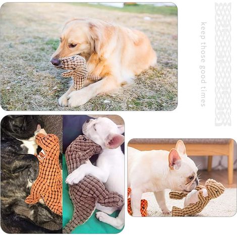 1 Jouet pour chien, Peluche dinosaure, Cordon interactif, Sonore, Massage dentaire, Velours côtelé, Intérieur coton PP (1/5)