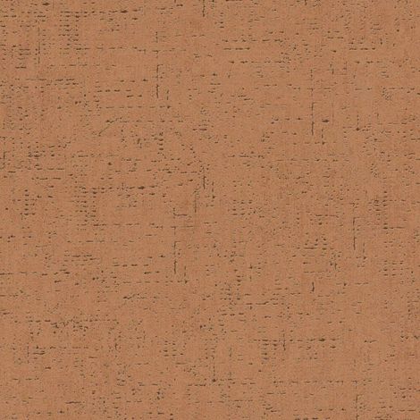 BRICOFLOR Papier peint Marron - Papier peint Uni - 10,05 x 0,53 m (1/5)