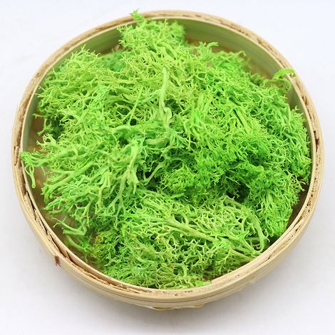 Mousse Artificielle - 10 g - Pour Décoration Florale Intérieure Extérieure - Mariages Fêtes Jardins DIY - 18 Couleurs Disponibles (1/5)