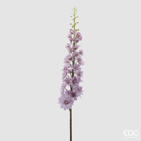 EDG Delphinium Ramo H.135 C4