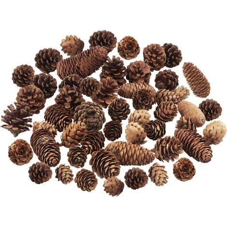 Pommes de Pin de Noël,Pommes de Pin Naturelles - Grande Taille Moyenne et Mini Pommes de Pin Decorative pour la Table Cadeaux d'Artisanat d'arbre de Noël Halloween Noël Décoration d'Intérieur (1/5)