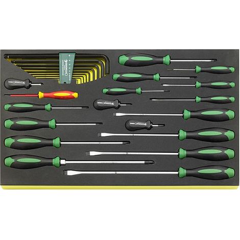 Stahlwille TCS 4620/4660VDE+10767 Schraubendreher Satz DRALL+