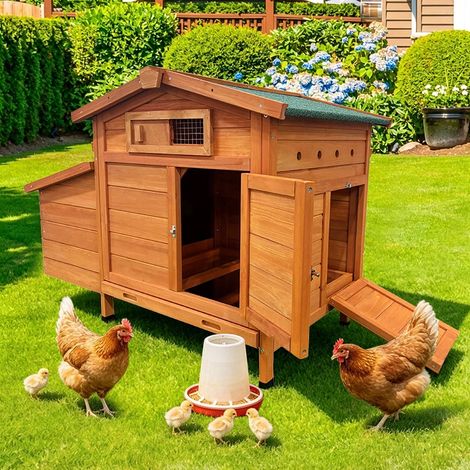 Poulailler en Bois Surélevé 1-3 Poules avec Pondoir Nichoir Rampe et Tiroir Amovible Abri Jardin Extérieur Anti-Prédateurs - Naturel