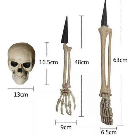 Skelett & Bewegliche Figuren, Skelett Skelett, Modell-Kunststoffskelett, Figuren mit beweglichen Gelenken, Halloween-Dekoration für Spukhäuser. (1/2)