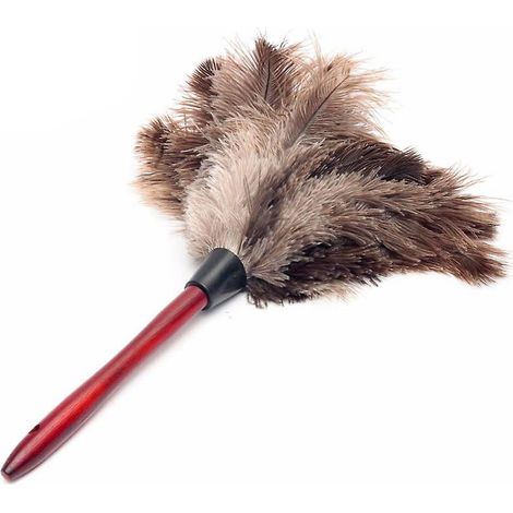 HOXILEELEO - Brosse à poussière antistatique avec manche en bois (1/5)