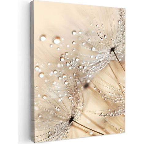 TABLEAU SUR TOILE Pissenlit - Abstrait - Nature - Beige Tableau Moderne 30x40 cm