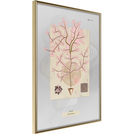 Affiche Murale Encadrée "Seaweed" 40 x 60 cm Or (1/2)