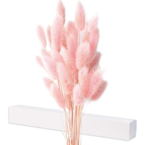 Herbes De Pampas Séchées - Bouquet Naturel Non Parfumé - Décoration Intérieure Élégante - Lot De 40 Tiges (1/5)