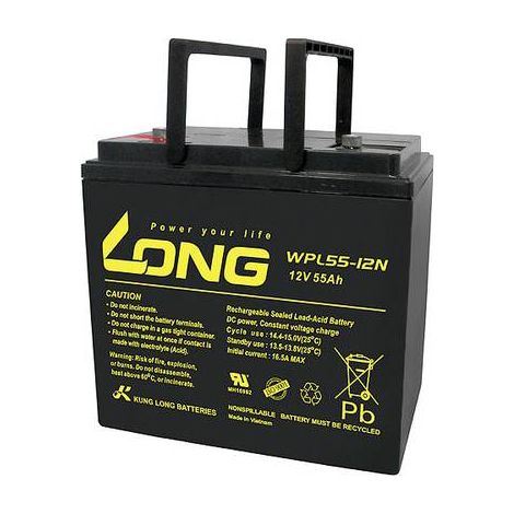 Long WPL55-12 WPL55-12 Batterie au plomb 12 V 55 Ah plomb (AGM) (l x H x P) 226 x 214 x 135 mm raccord à vis M6 auto-décharge réduite, sans entreti Y860412 (1/2)