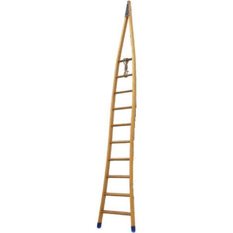 Scala agricola in legno con montanti a punta in cima - Lunghezza : 3.00m - FRUI-300