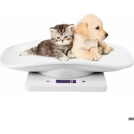 Balance Pour Animaux De Compagnie - 10 Kg - Plateau Électronique - Cuisine Et Domestique - 29 X 18 X 4 Cm (1/5)
