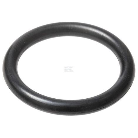 O-Ring CI028560 CARRARO CI028560 (1/2)