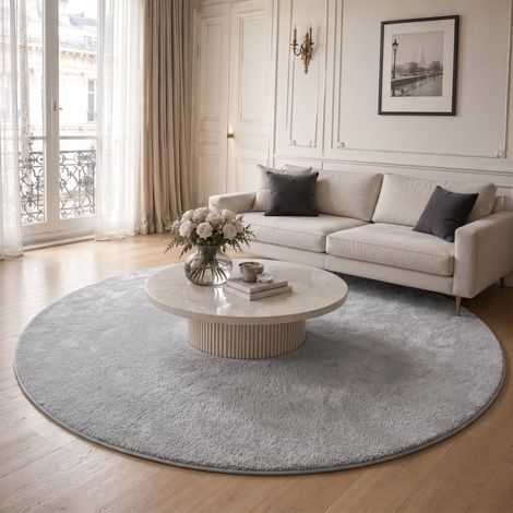 Tapis de salon poils ras doux antiderapant ф200cm uni gris (1/5)