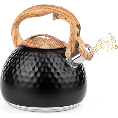 Bouilloire Inox Sifflante 3L avec Poignée - Théière pour Toutes Cuisinières, Sifflet pour Thé et Café (1/5)