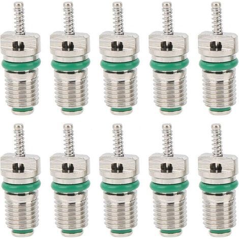 Pair CSPARKV 10 Pièces Noyau De Valve De Climatisation, R134a Pièce De Climatisation Automobile Noyau De Valve Kit De Noyau De Valve De Climatisation pour La Plupart des Voitures