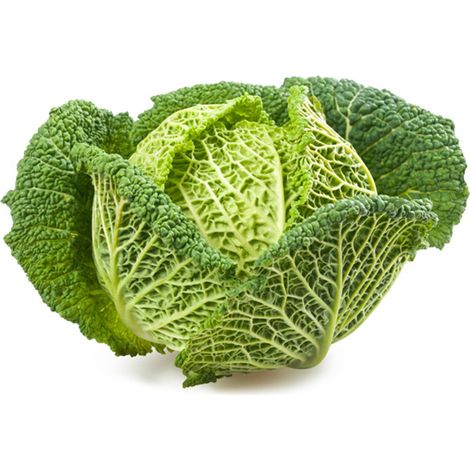 Semi di Cavolo Verza testa di ferro piante per orto e giardino